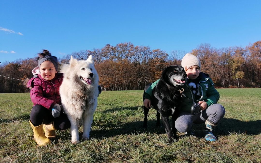 Mavrice doma med korono …