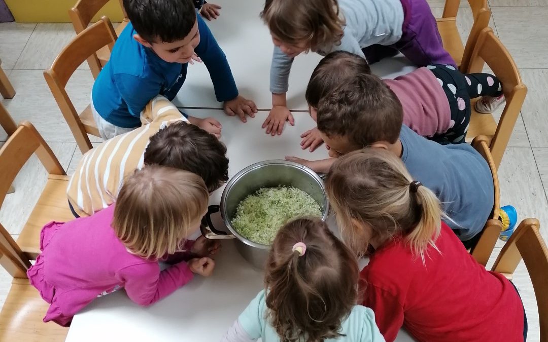 Priprava bezgovega soka pri Mavricah