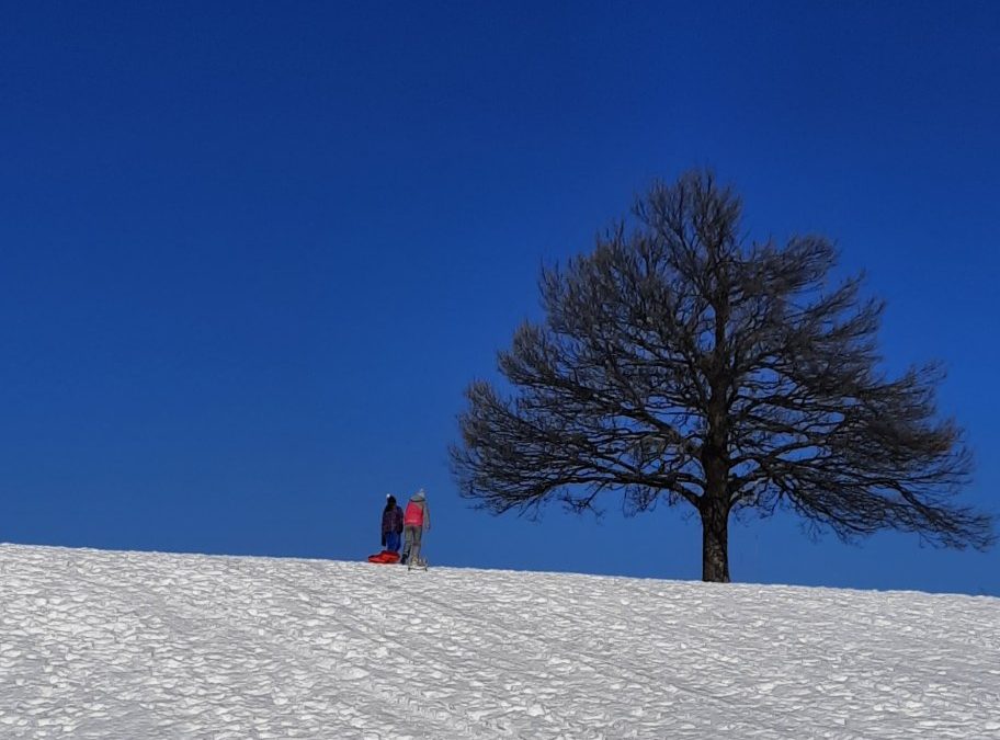 Zimski športni dan Areh in Planina