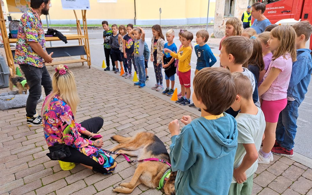 Teden mobilnosti – dan brez avtomobila Krško