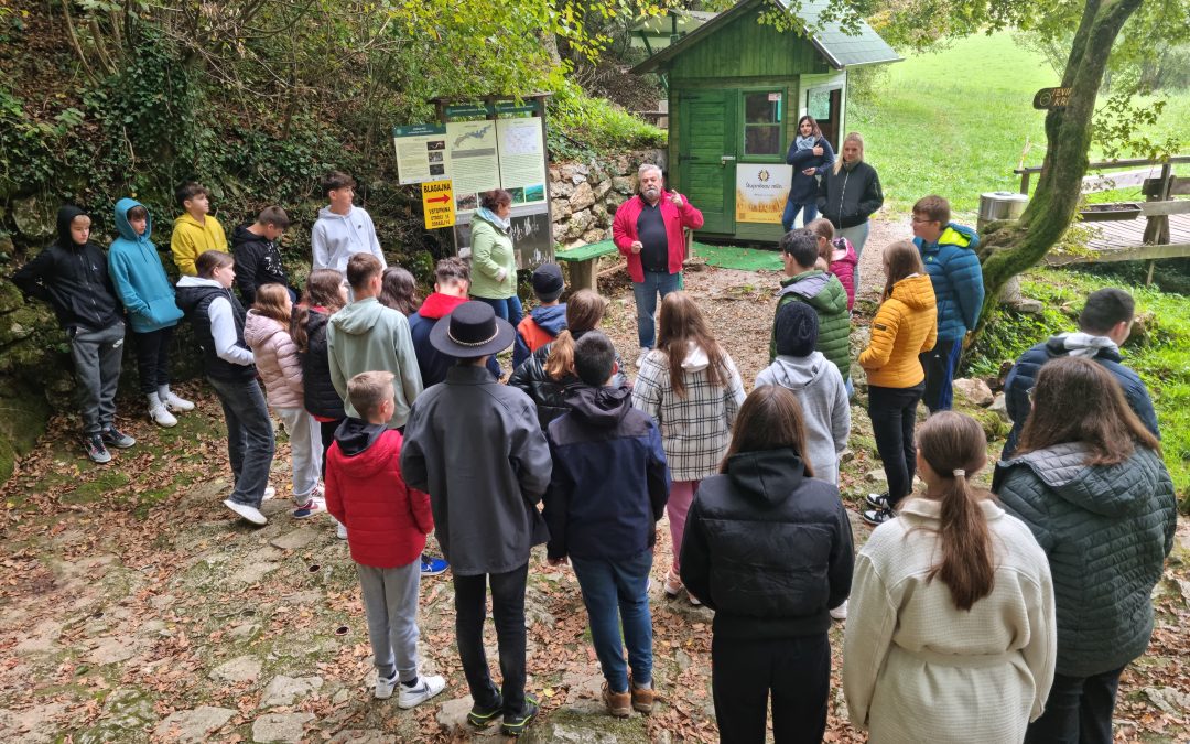 Začetki slovenske književnosti na Dolenjskem in Krka