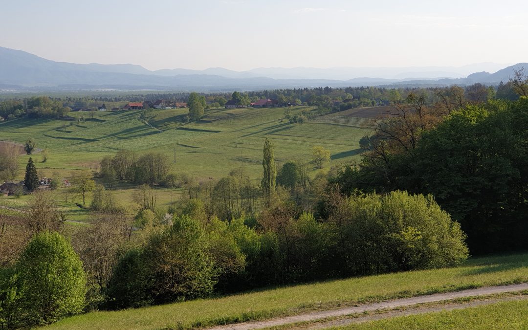 PROTEUSOVO PRIZNANJE