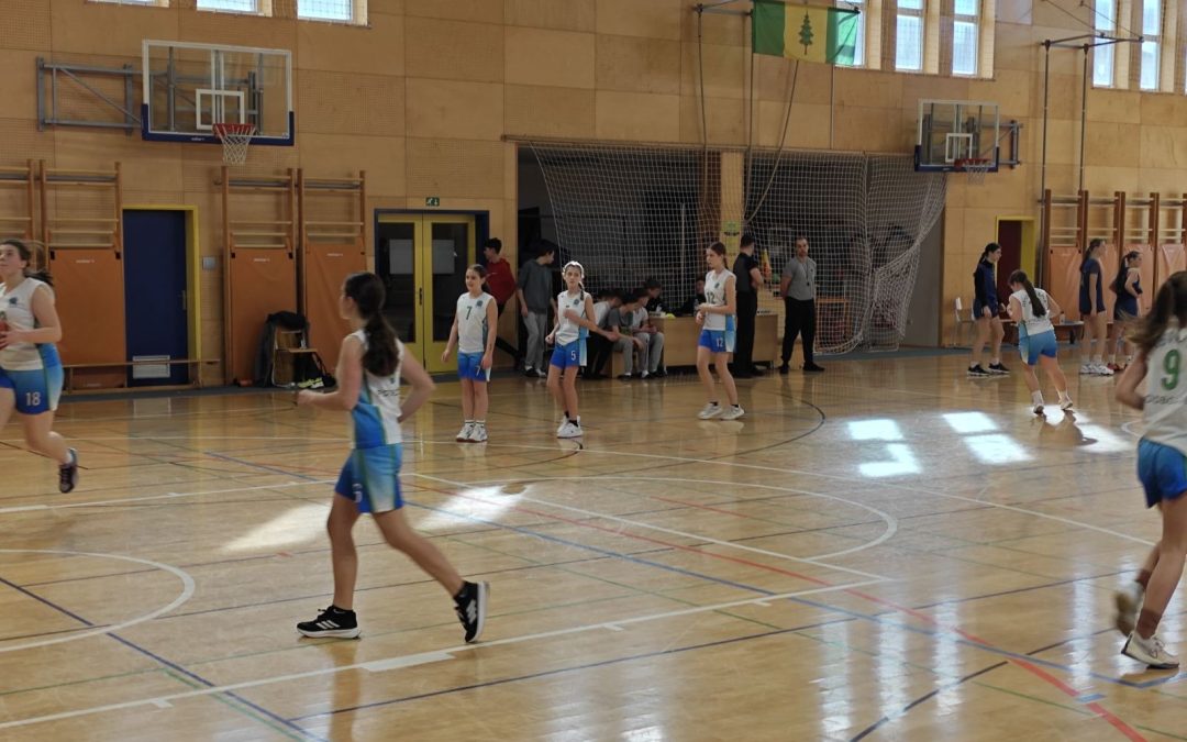 Državno tekmovanje v košarki za starejše deklice