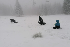 IMG_20250212_110253