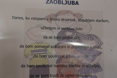 Sprejem v šolsko skupnost, 2. razred