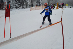 IMG-445bca72d2d1ef8b3a820c3e671d31e4-V